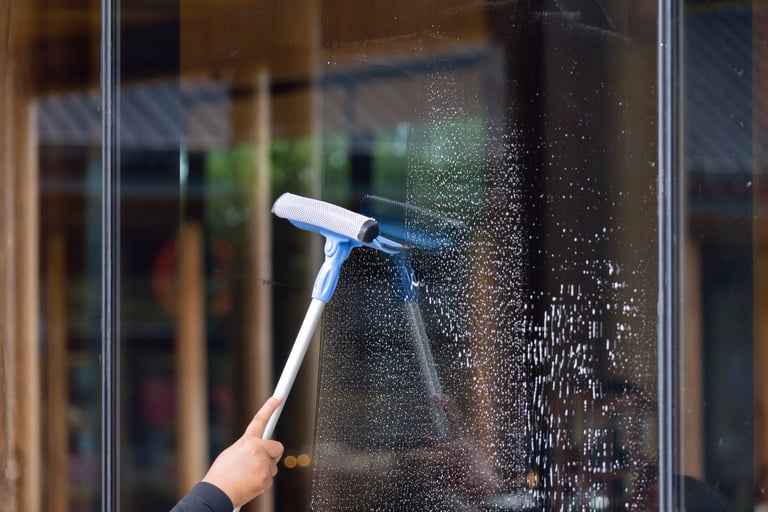 Professional squeegee cleaning a residential window